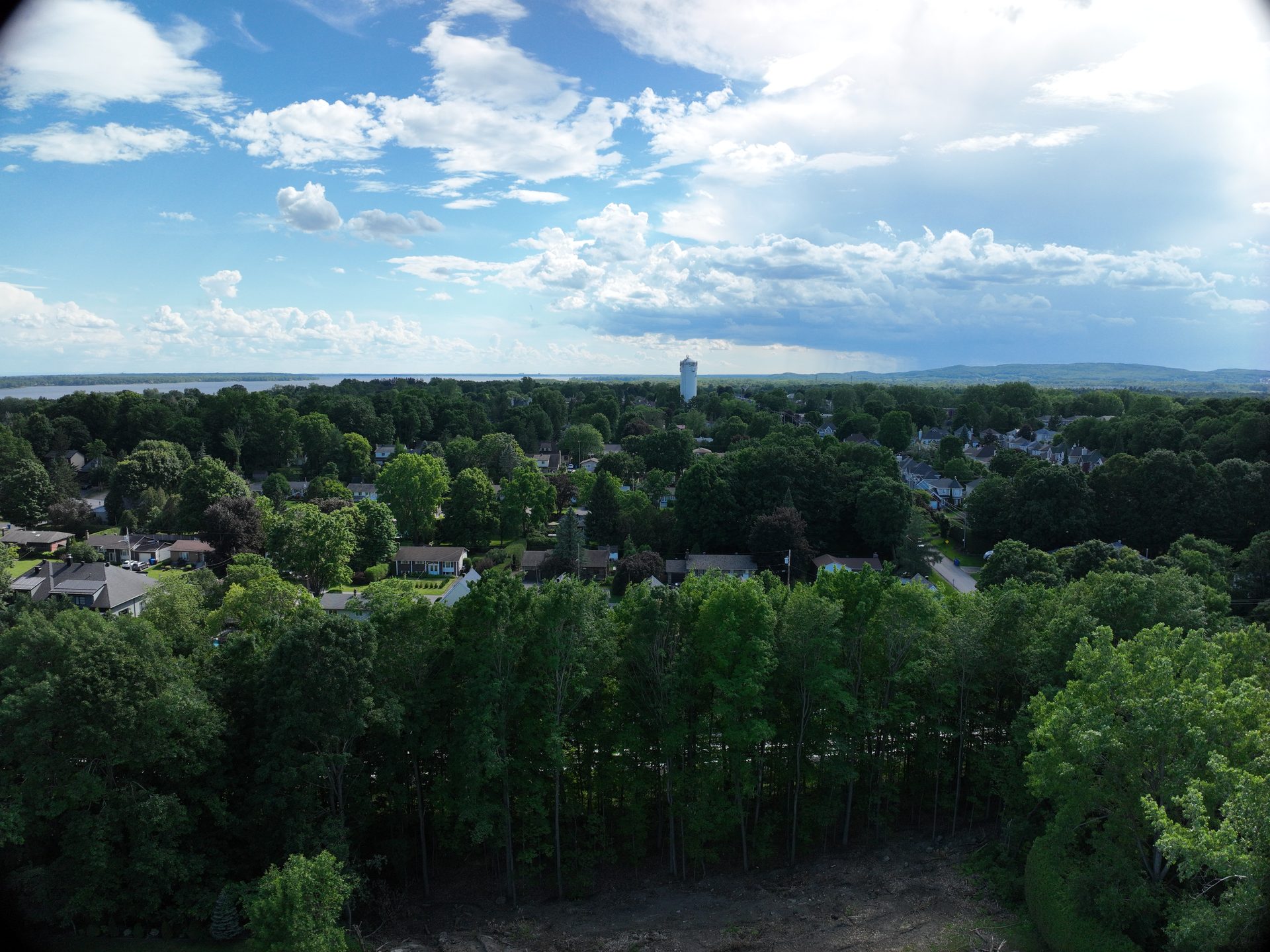 Aerial of the leafy area around 446 14e Avenue